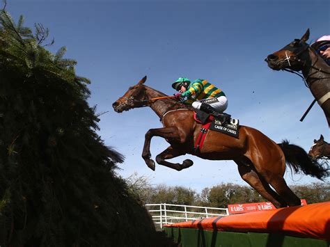 best bets for grand national 2016|Grand National 2016: tips, latest odds and betting on .